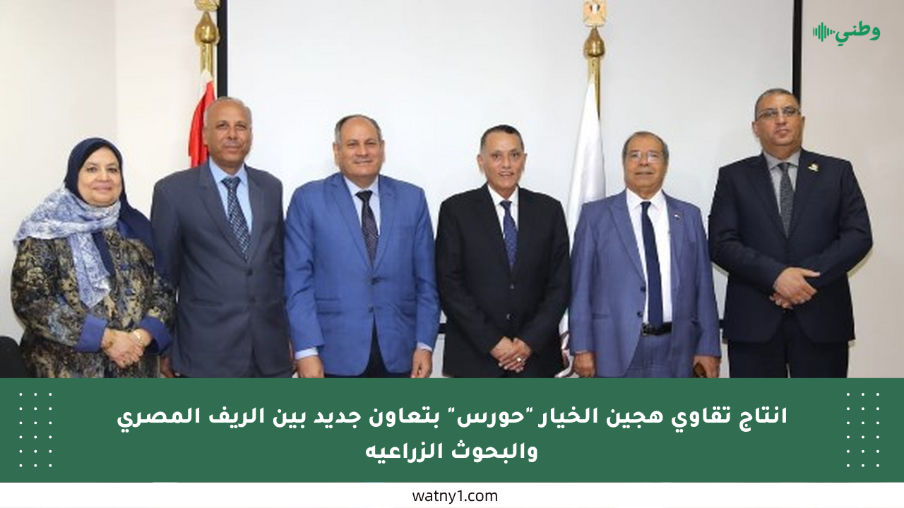 إنتاج تقاوى هجين الخيار “حورس” بتعاون جديد بين الريف المصرى والبحوث الزراعية